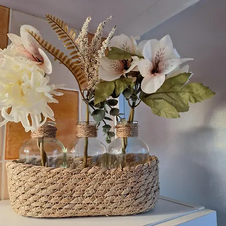 Lizea * Pont-Saint-Esprit